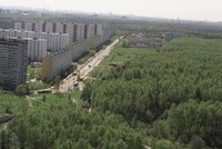 В Госдуму внесен законопроект о запрете изменения границ городских лесов до внесения сведений о них в ЕГРН